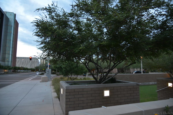 DSC 0894