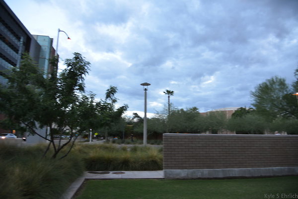 DSC 0875