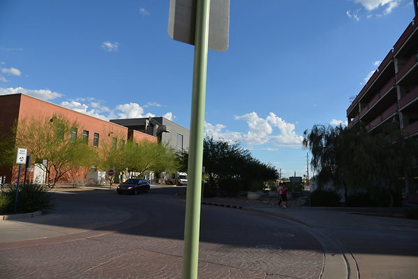 DSC 7992