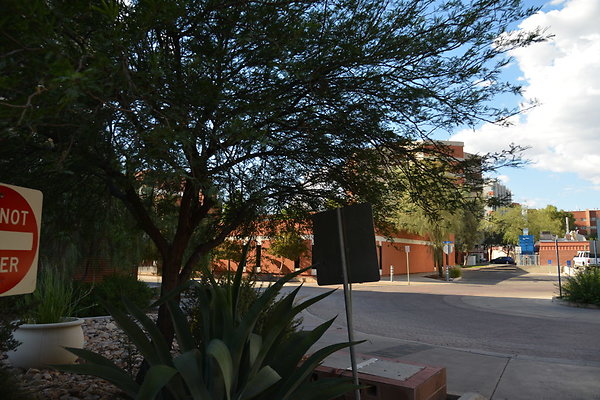 DSC 8042