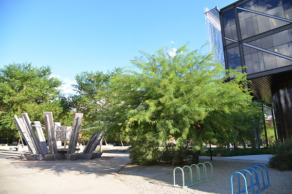 DSC 8001