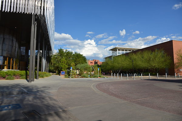 DSC 7999