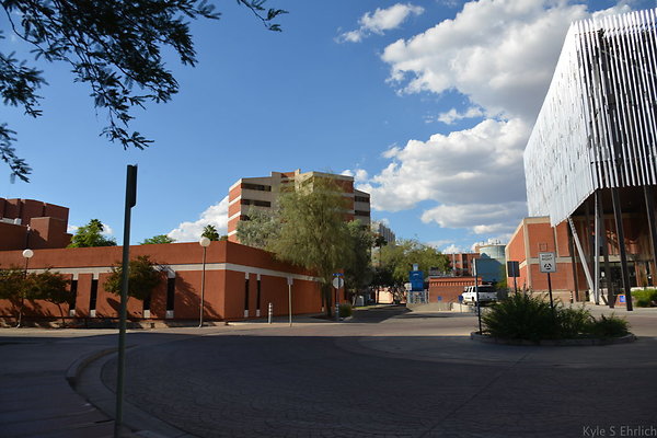 DSC 7974