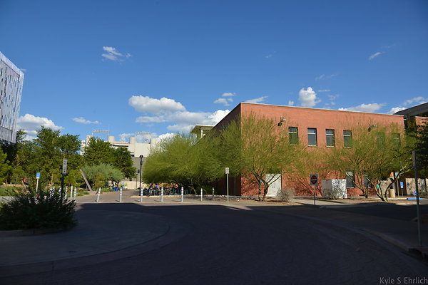 DSC 7982