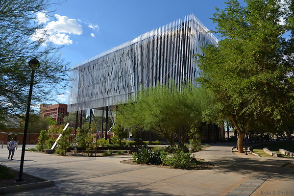 DSC 7952