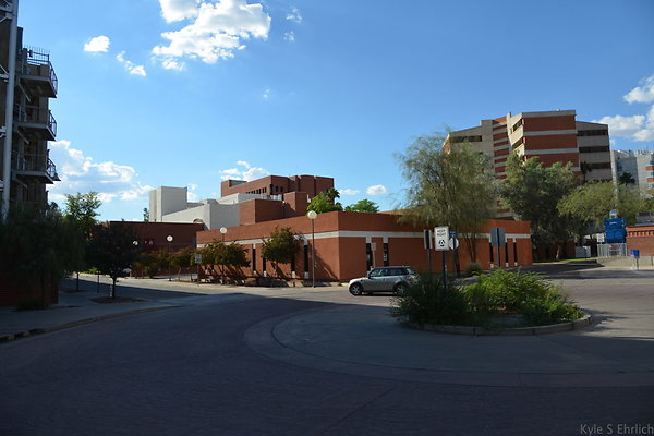 DSC 7968