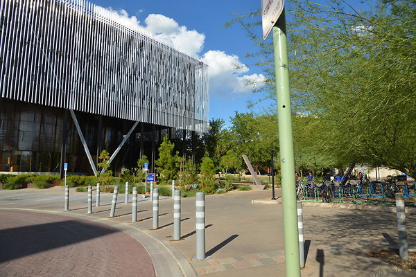 DSC 7970