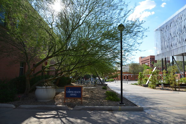 DSC 7935