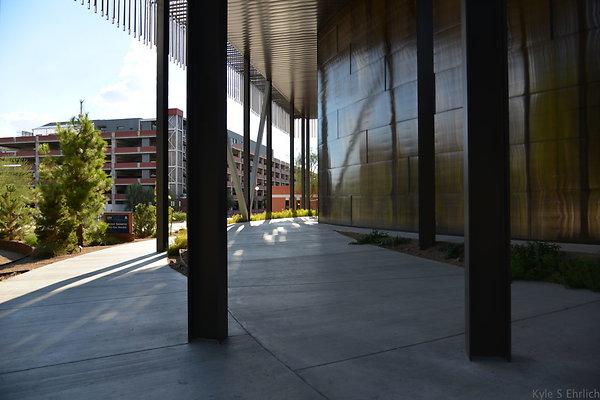 DSC 8018