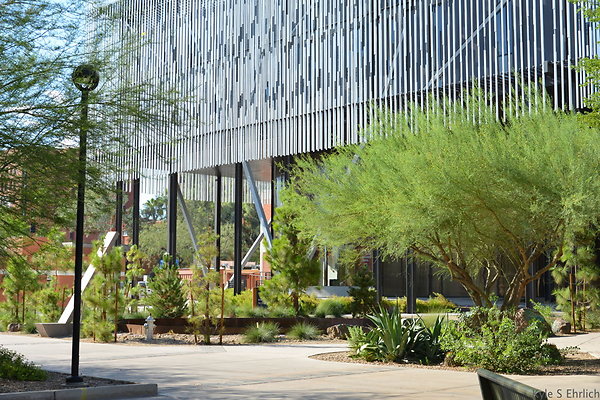 DSC 7940