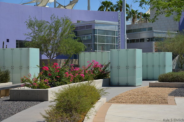 DSC 4198