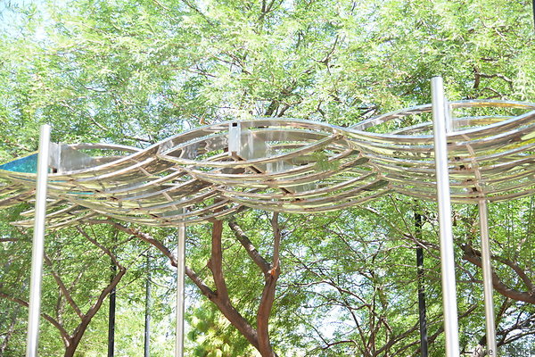 DSC 4318