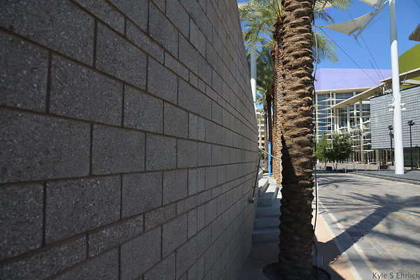 DSC 4294