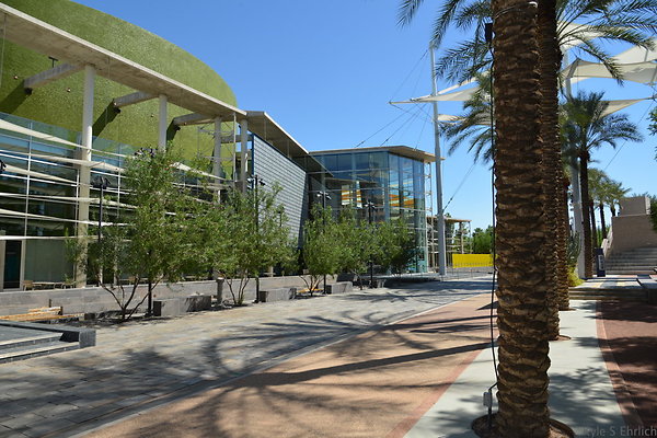 DSC 4275