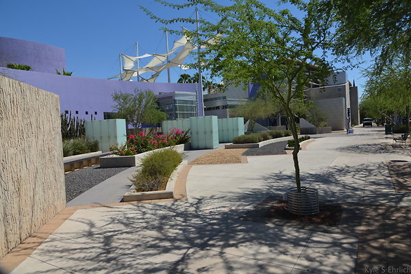 DSC 4196