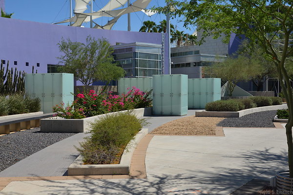 DSC 4197