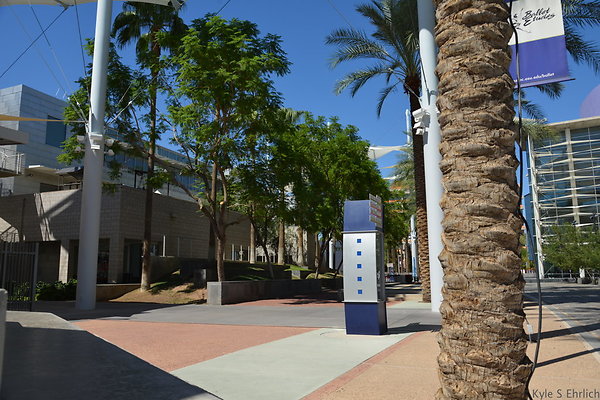 DSC 4288