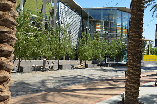 DSC 4272