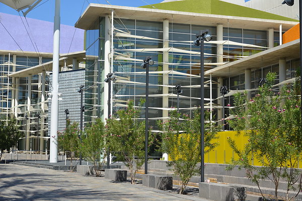 DSC 4299