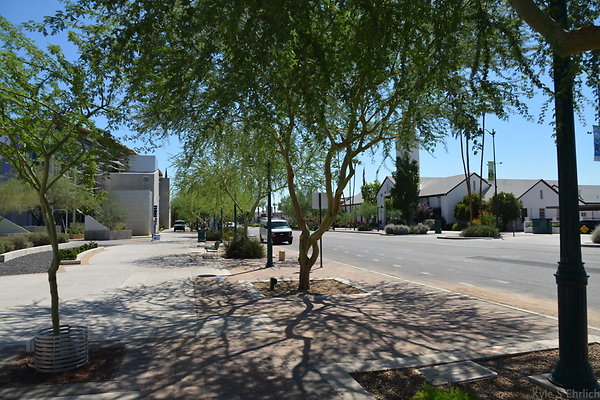 DSC 4201