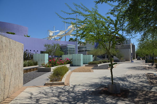 DSC 4200
