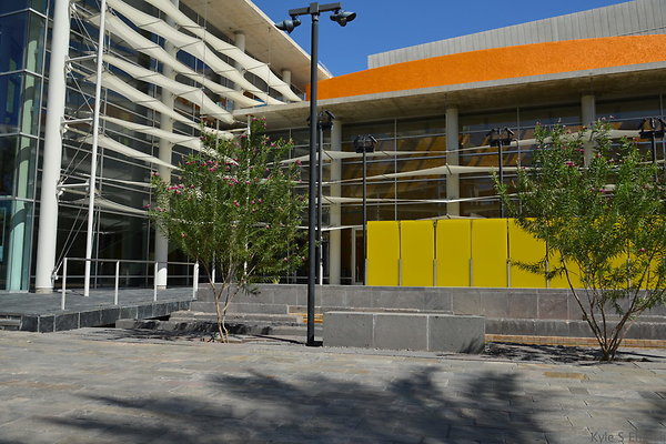 DSC 4290