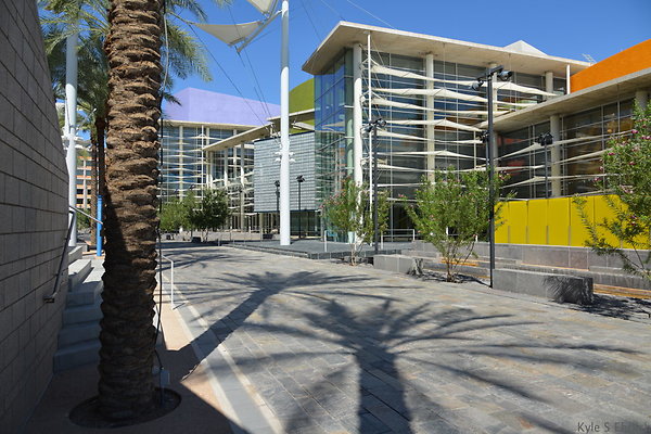DSC 4291