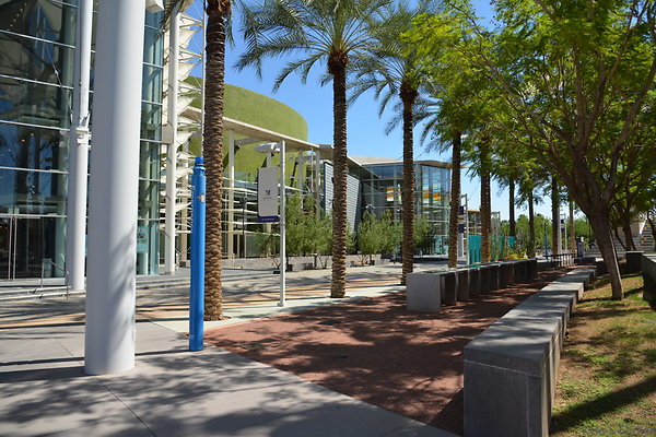DSC 4266