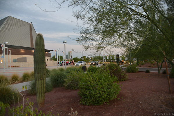 DSC 3846