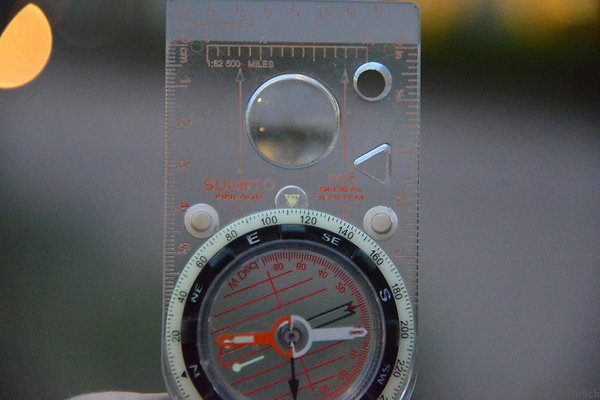 DSC 1133