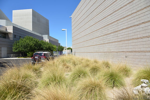 DSC 4357