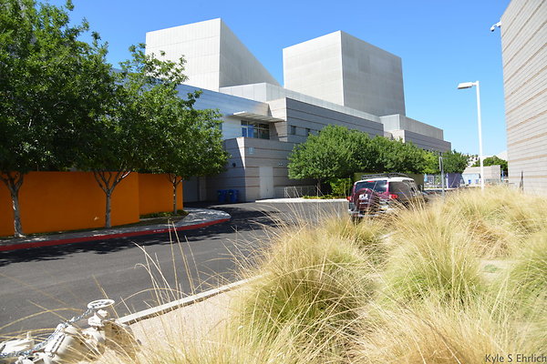 DSC 4353