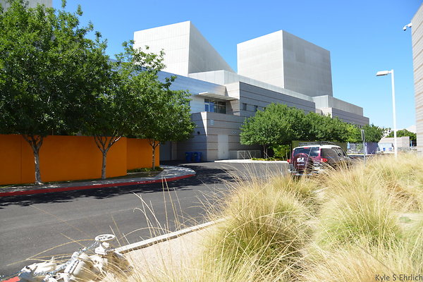 DSC 4356