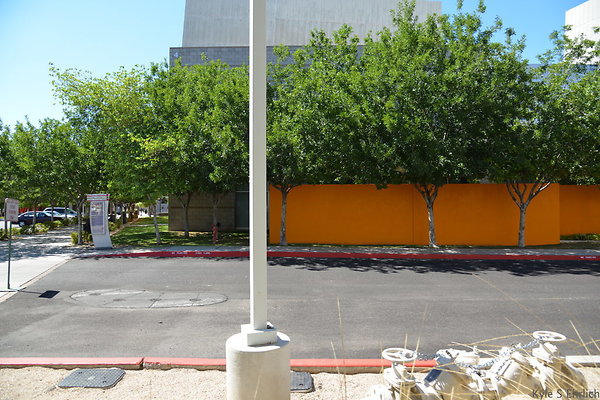 DSC 4355