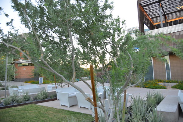 DSC 5724