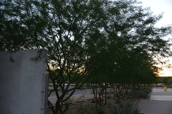 DSC 5787