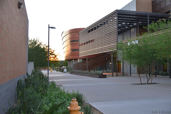 DSC 5782