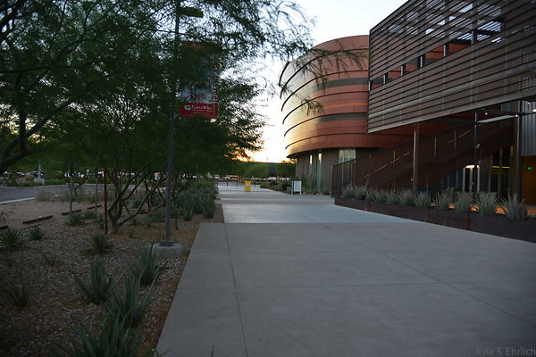 DSC 5795