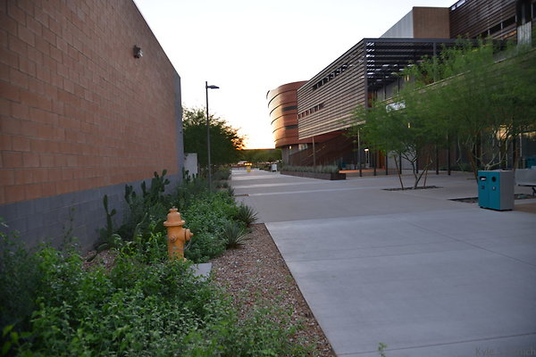 DSC 5775