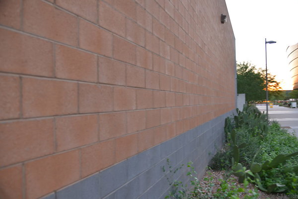 DSC 5778