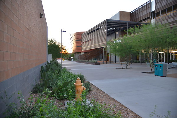DSC 5781