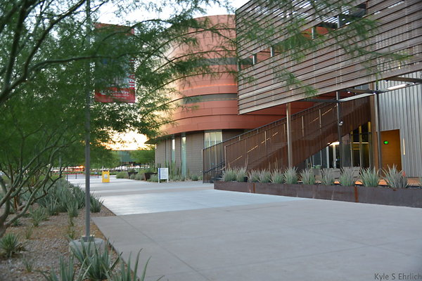DSC 5794