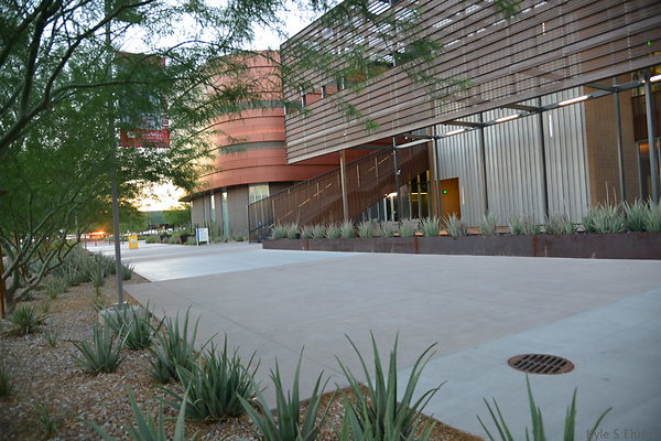 DSC 5793