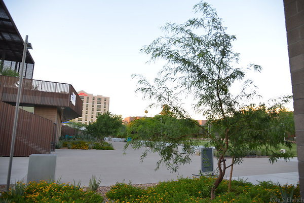 DSC 5761