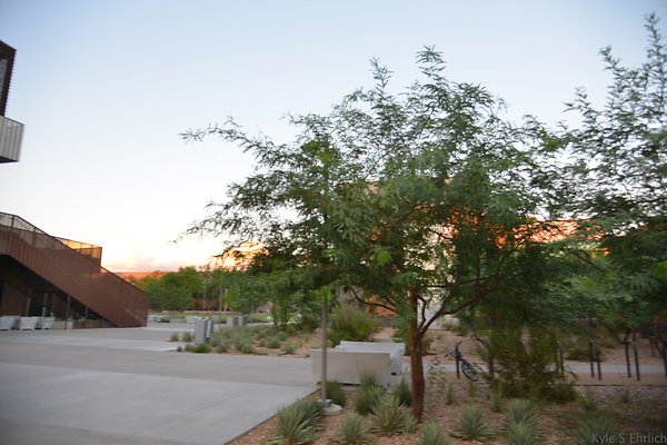 DSC 5768