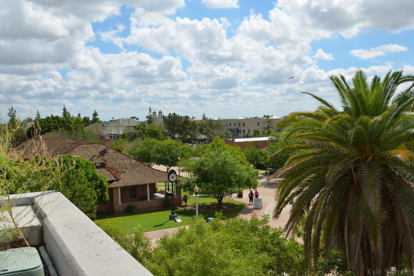 DSC 1882
