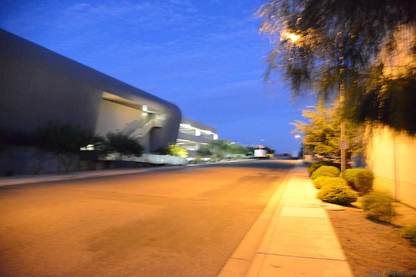 DSC 3914