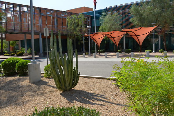 DSC 3003