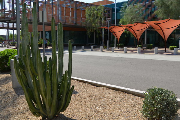 DSC 3009