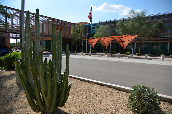 DSC 3010